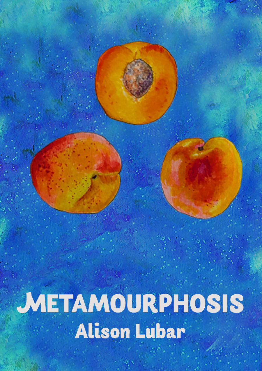 Metamourphosis