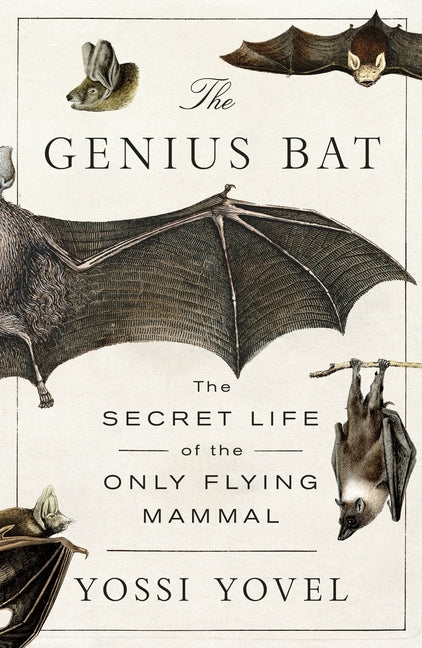 The Genius Bat: The Secret Life of the Only Flying Mammal