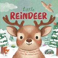 Nature Stories: Little Reindeer (Nature Stories)