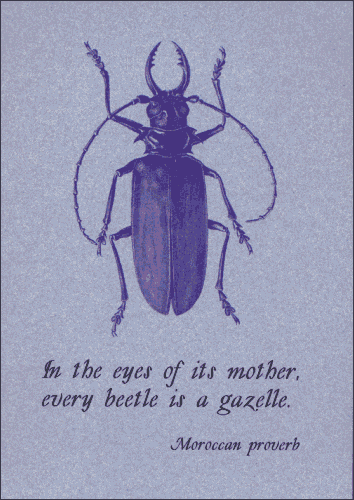 Every beetle is a gazelle