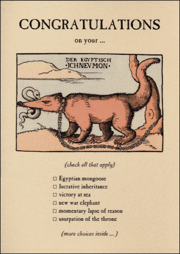 Egyptian Mongoose Card